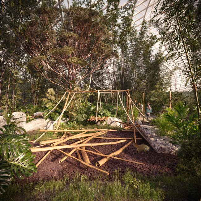 Perspective 3D pour Landscape Consulting sur un projet de serre tropicale.