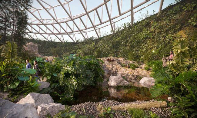 Perspective pour Landscape Consulting sur un projet de serre tropicale.