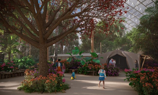 Perspective 3D pour Landscape Consulting sur un projet de serre tropicale.